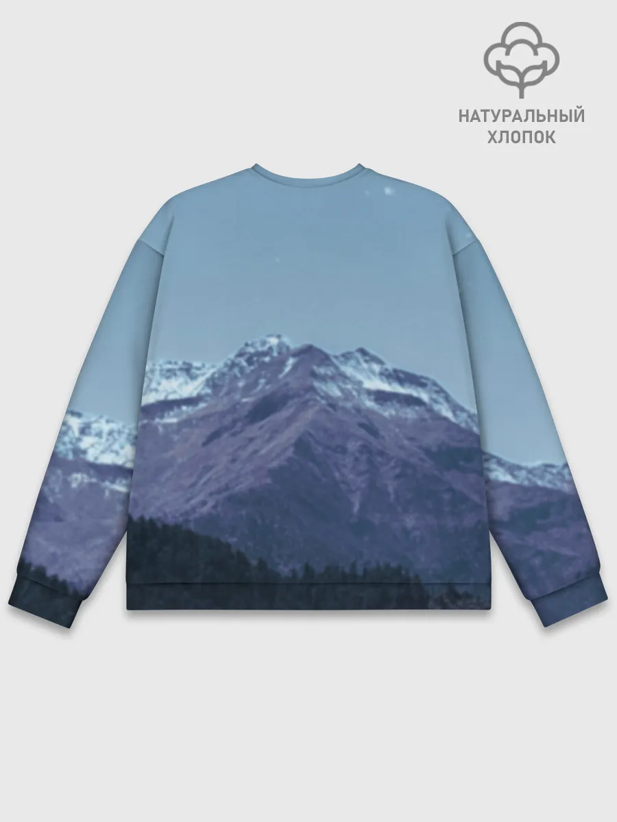 Мужской свитшот базовый / Рафталия