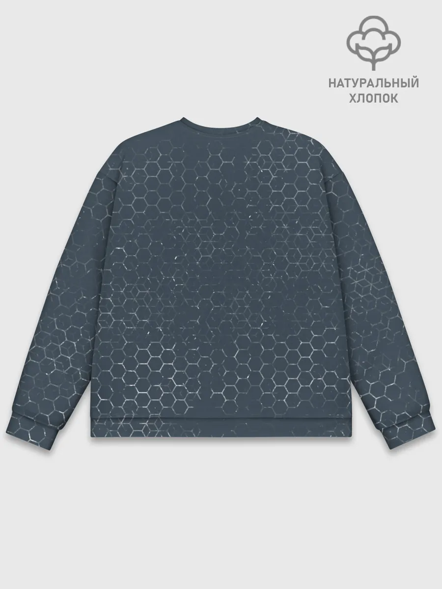 Мужской свитшот базовый / EVE ECHOES / ИВ ЭХО