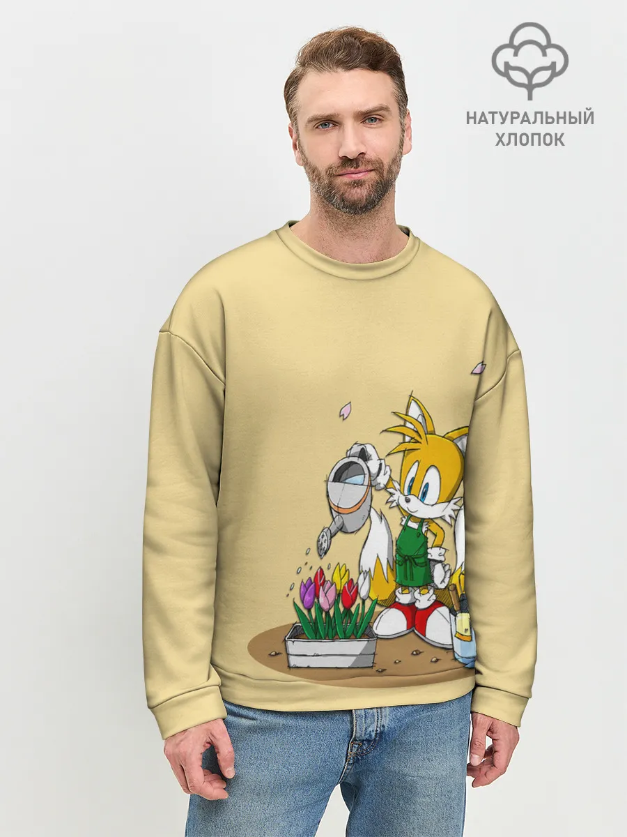 Мужской свитшот базовый / Sonic.