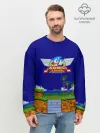 Мужской свитшот базовый / Sonic.
