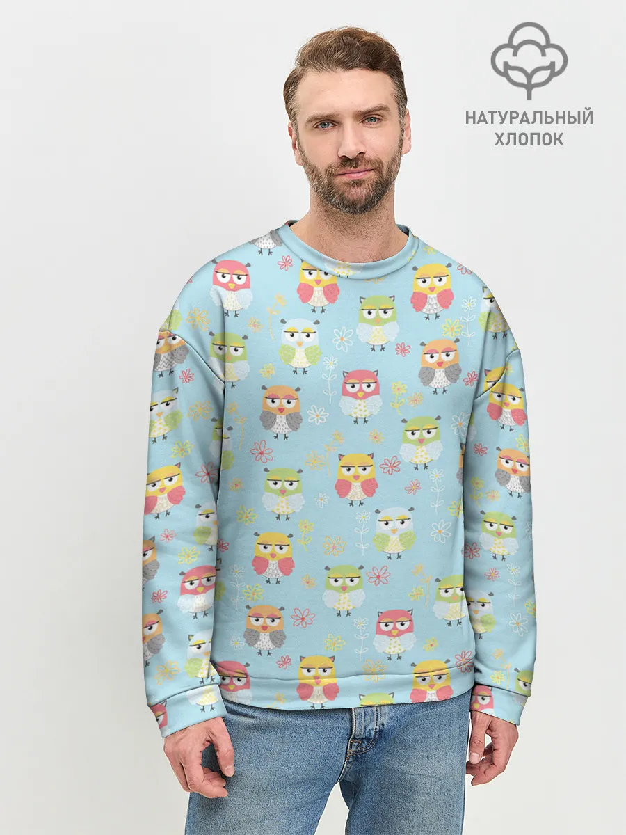 Мужской свитшот базовый / Совята