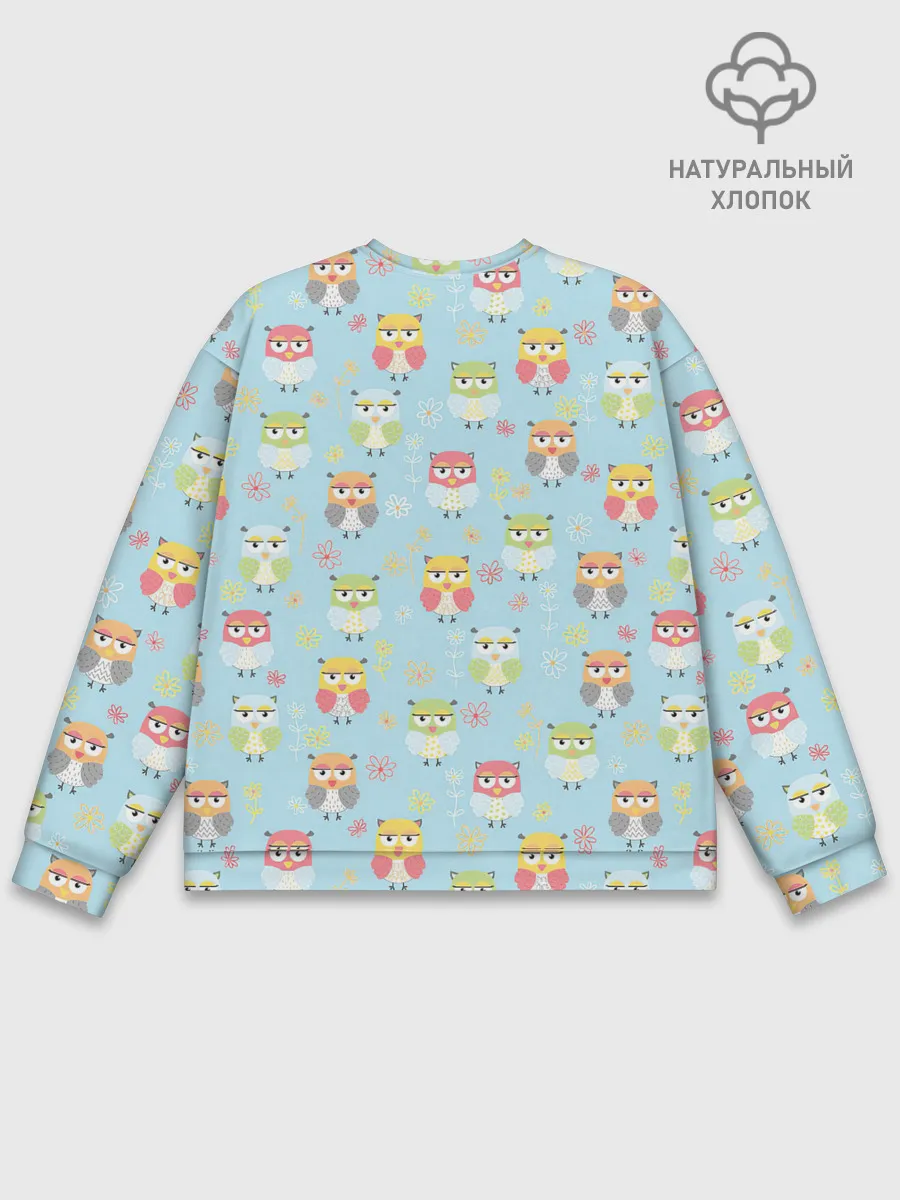 Мужской свитшот базовый / Совята
