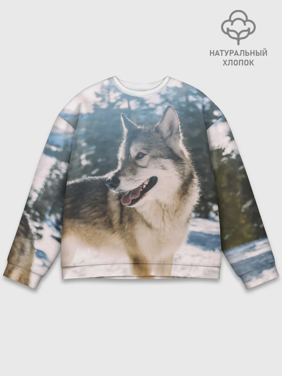 Мужской свитшот базовый / Волк и снег