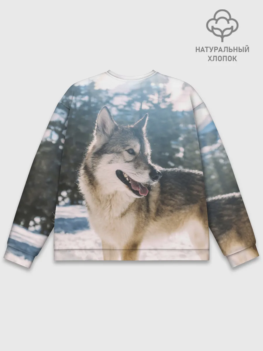 Мужской свитшот базовый / Волк и снег