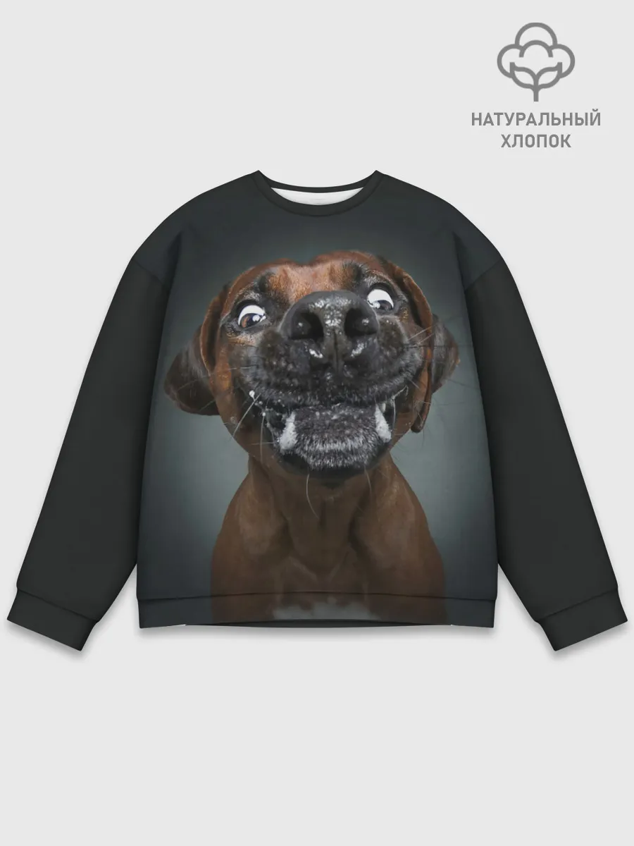 Мужской свитшот базовый / Это всё мне?!