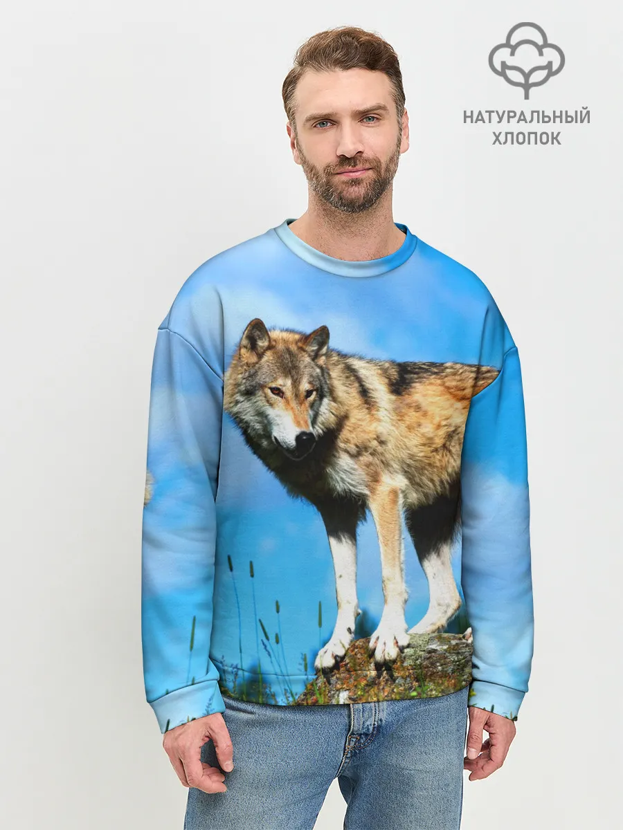 Мужской свитшот базовый / Волк