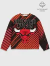 Мужской свитшот базовый / Chicago Bulls