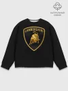 Мужской свитшот базовый / Lamborghini