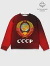 Мужской свитшот базовый / СССР / USSR