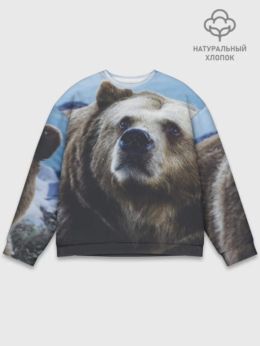 Мужской свитшот базовый / Гризли