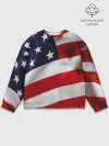 Мужской свитшот базовый / США | USA