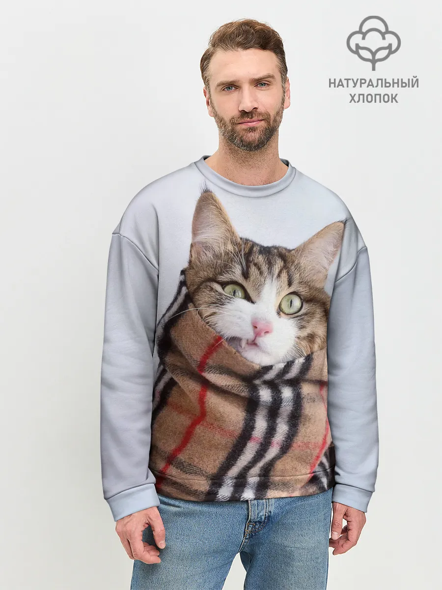 Мужской свитшот базовый / Кот в шарфе