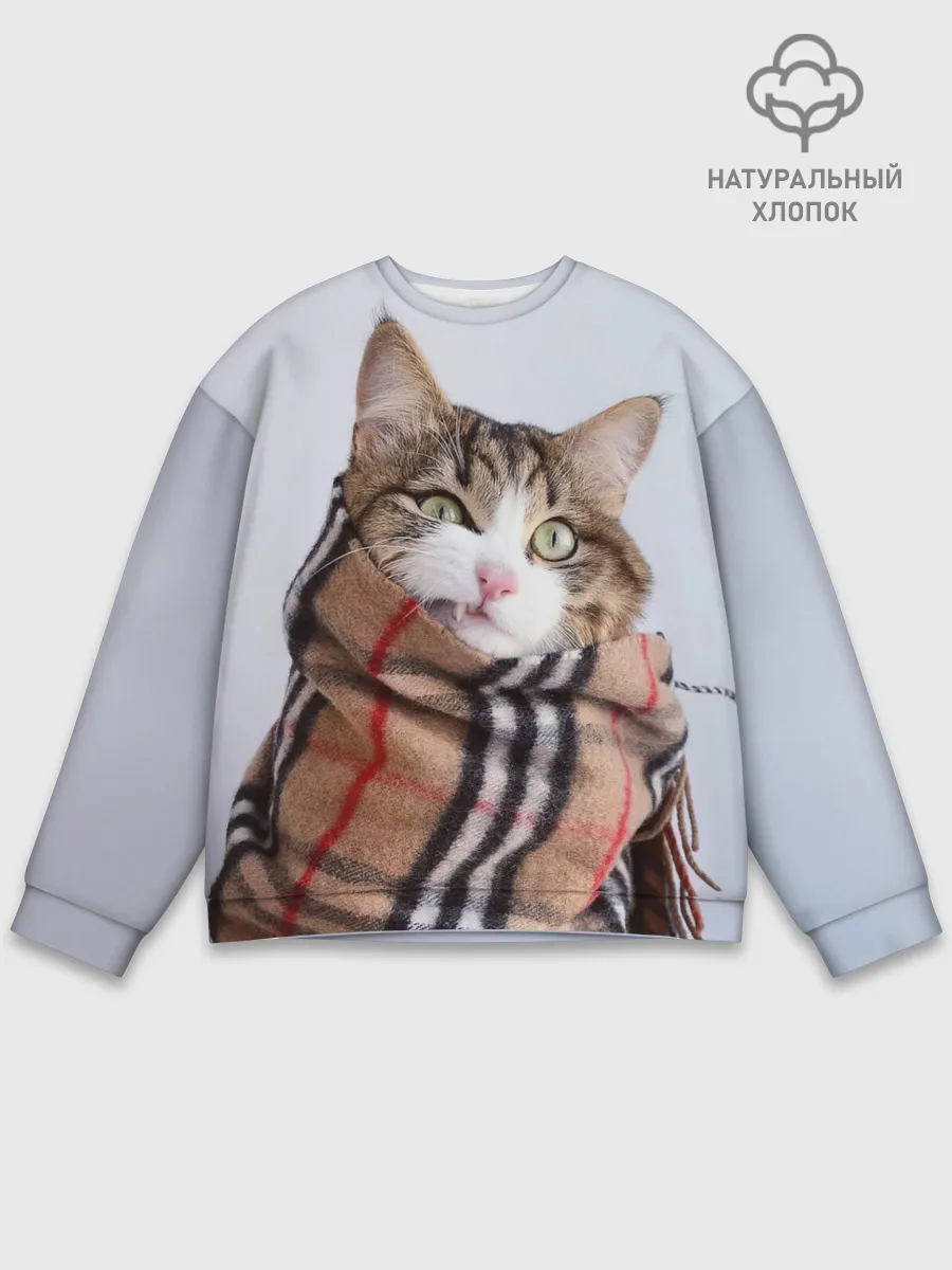 Мужской свитшот базовый / Кот в шарфе