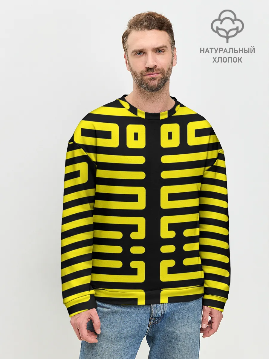 Мужской свитшот базовый / полосы, линии, узор,