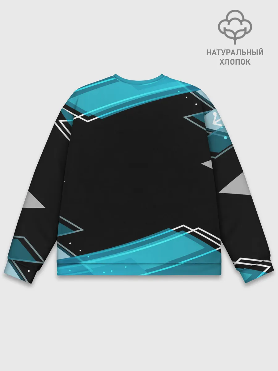 Мужской свитшот базовый / RUSSIA.