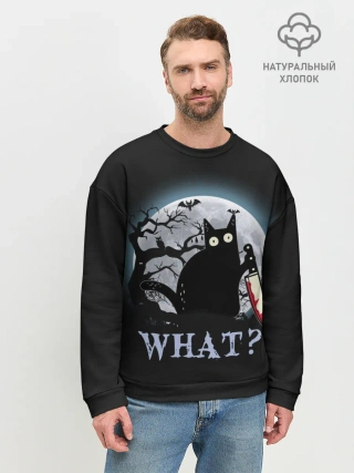 Мужской свитшот базовый / What Cat