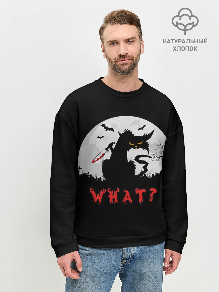 Мужской свитшот базовый / What Cat