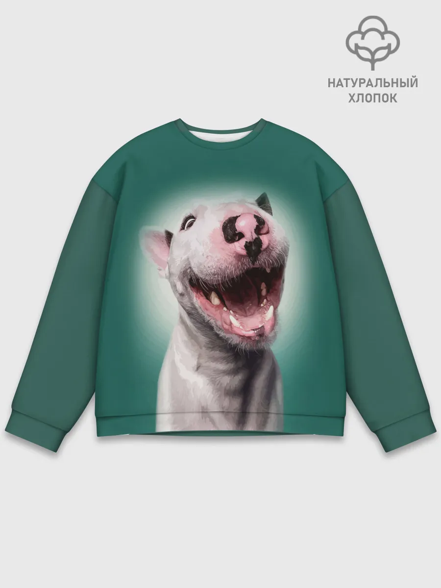 Мужской свитшот базовый / Bully