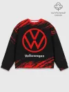 Мужской свитшот базовый / VOLKSWAGEN / Фольксваген