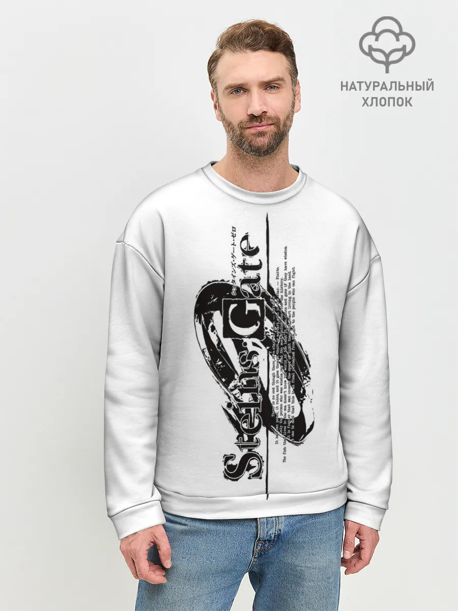 Мужской свитшот базовый / Врата Штейна / Steins Gate