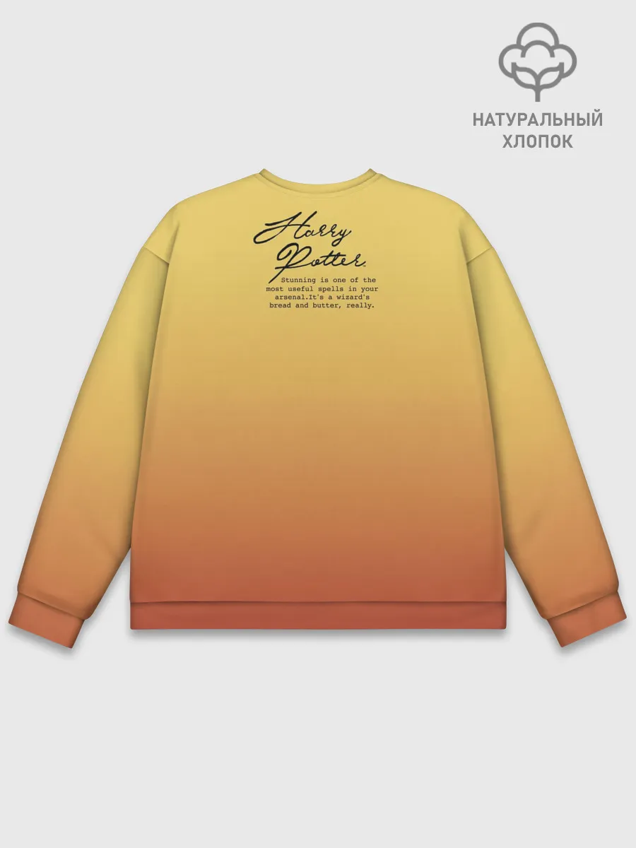 Мужской свитшот базовый / Гарри Поттер