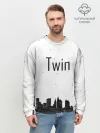 Мужской свитшот базовый / Twin cities