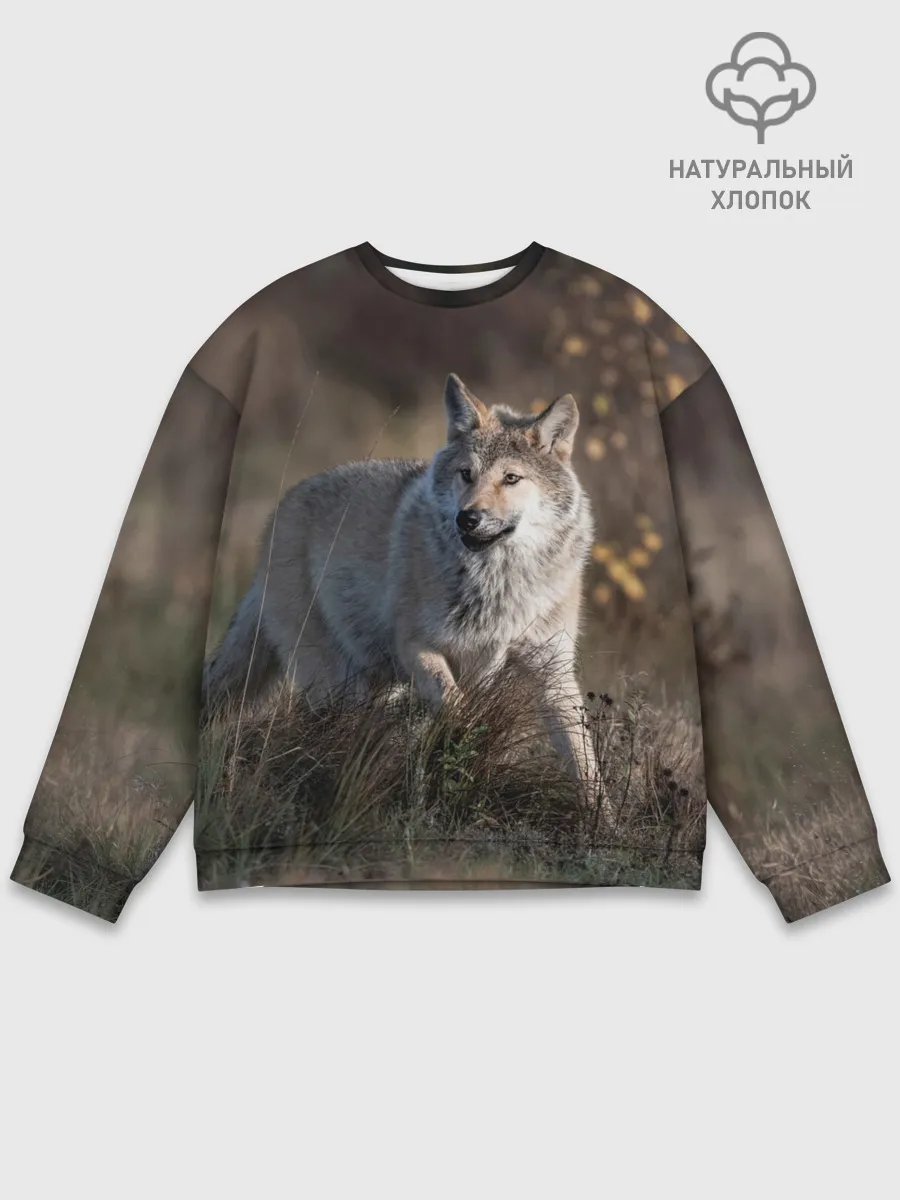 Мужской свитшот базовый / WOLF