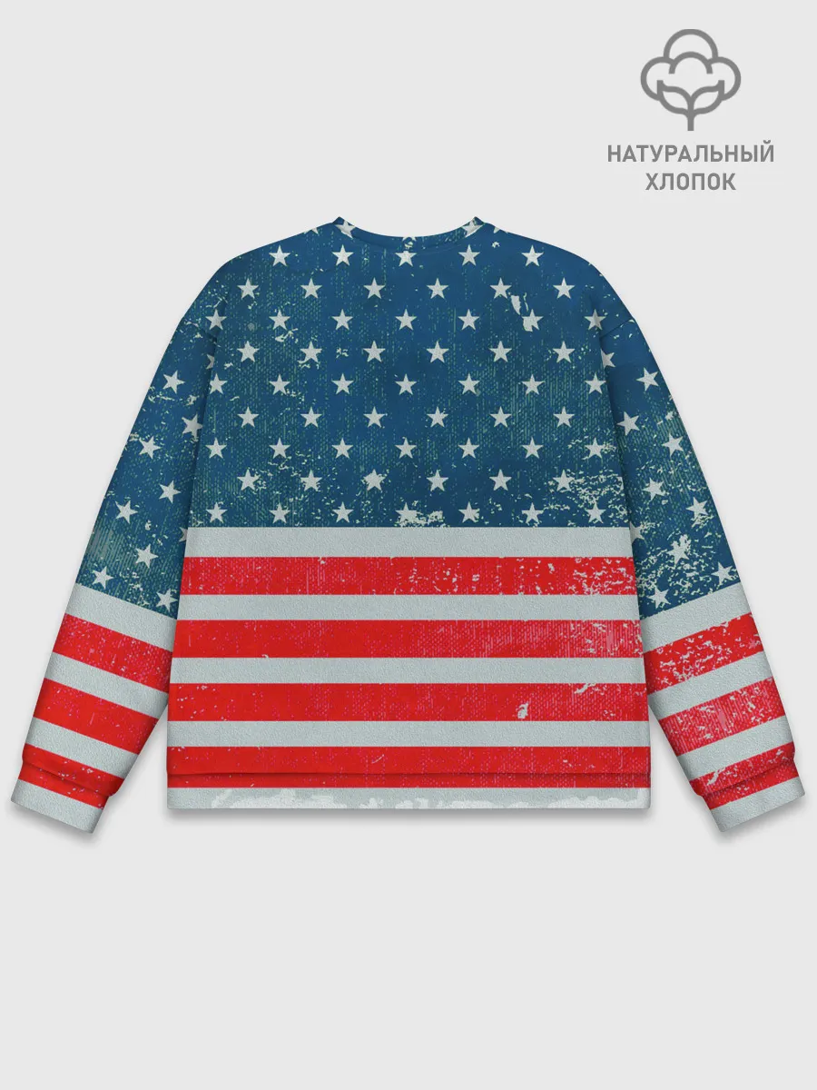 Мужской свитшот базовый / Its Ricardo