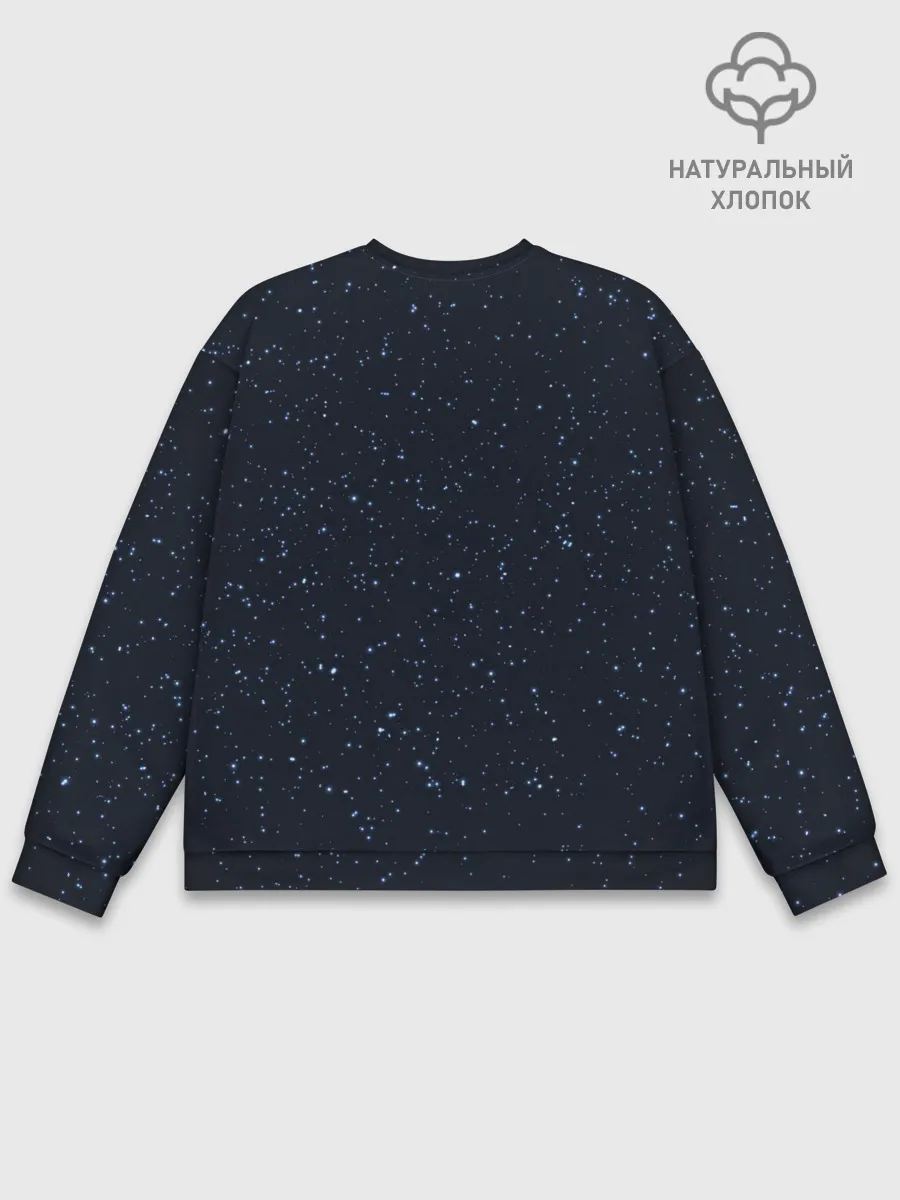 Мужской свитшот базовый / AMONG US