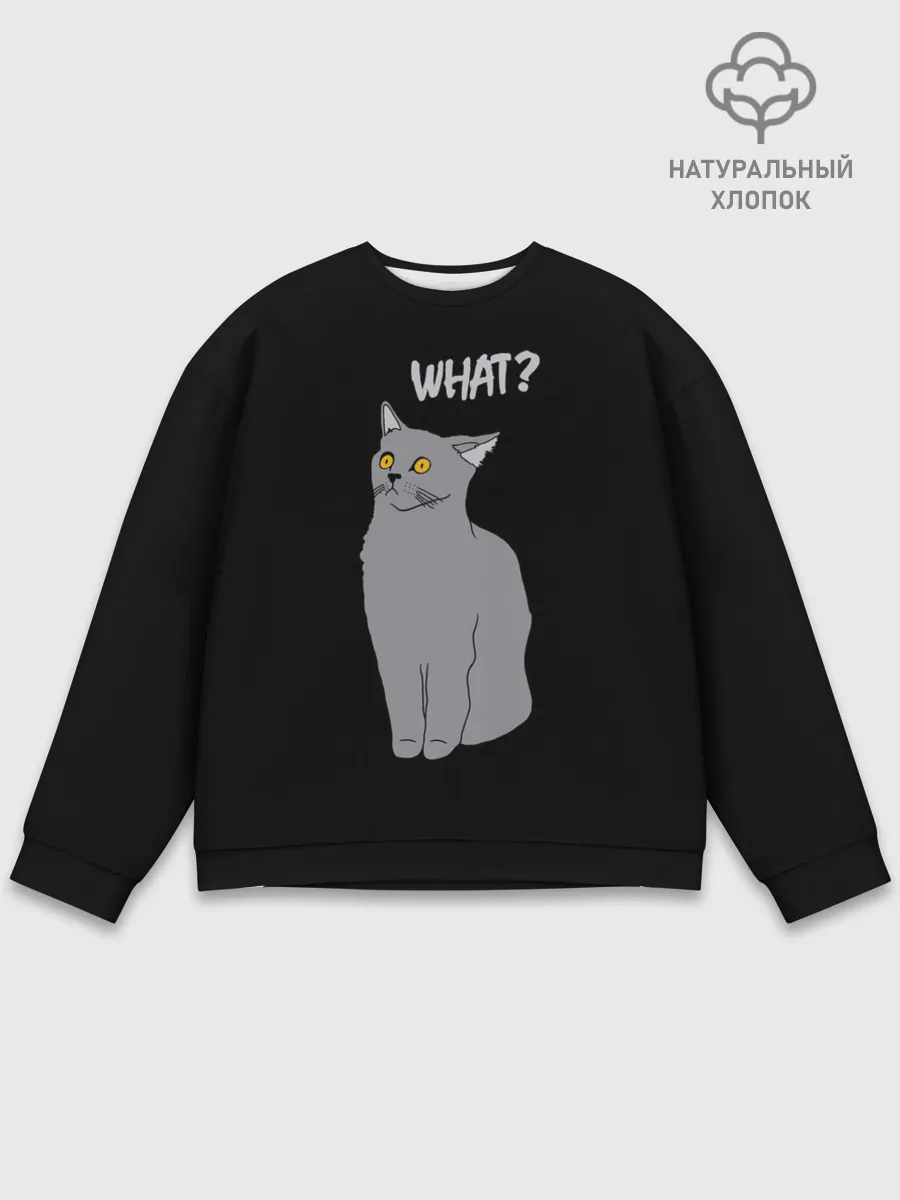 Мужской свитшот базовый / What cat