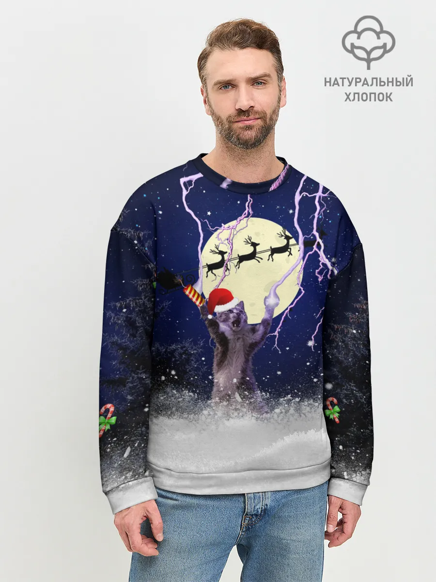 Мужской свитшот базовый / Новогодний Кот