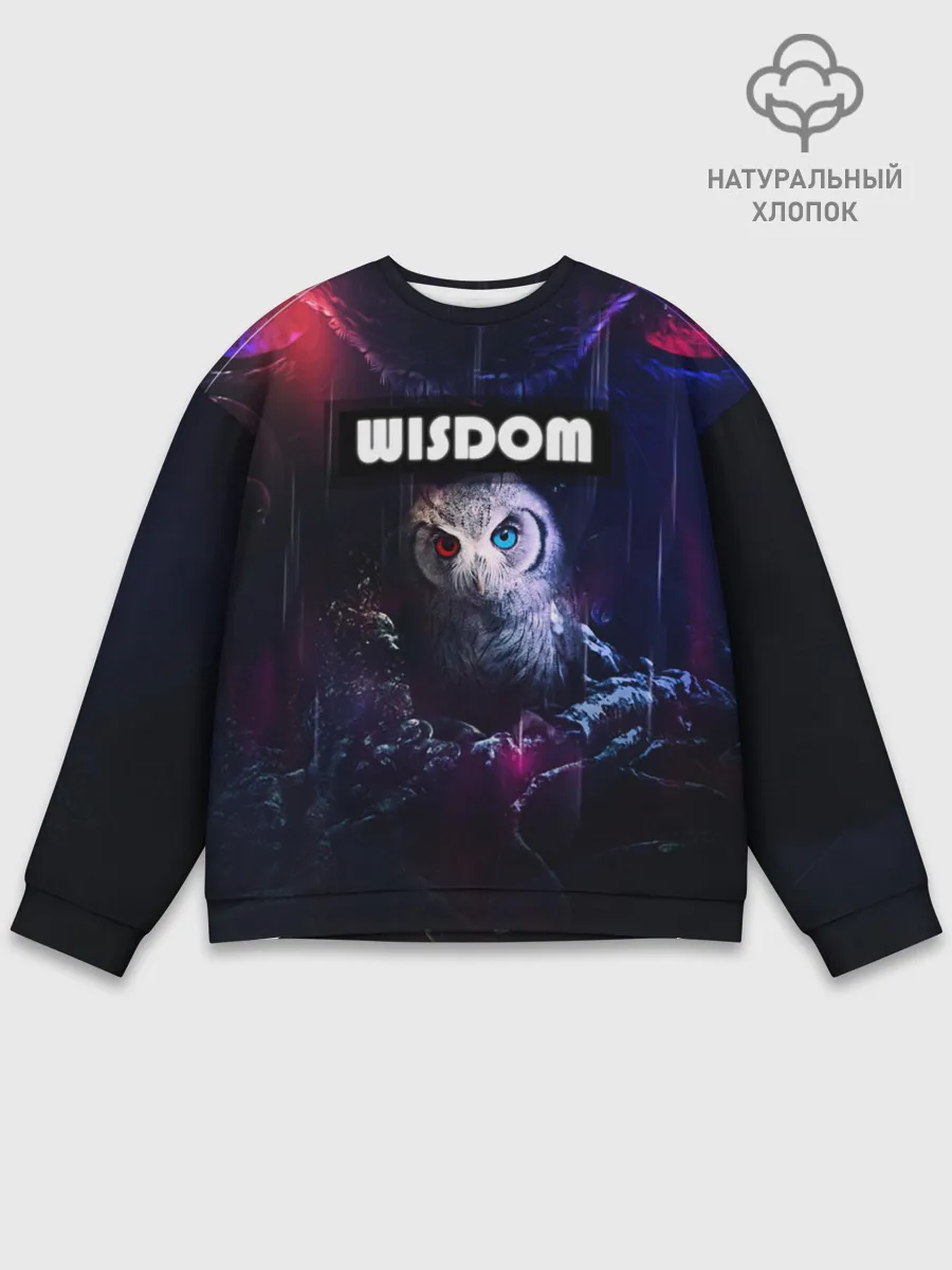 Мужской свитшот базовый / WISDOM