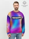 Мужской свитшот базовый / EXCLUSIVE