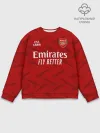 Мужской свитшот базовый / ARSENAL 20/21 - ДОМАШНЯЯ
