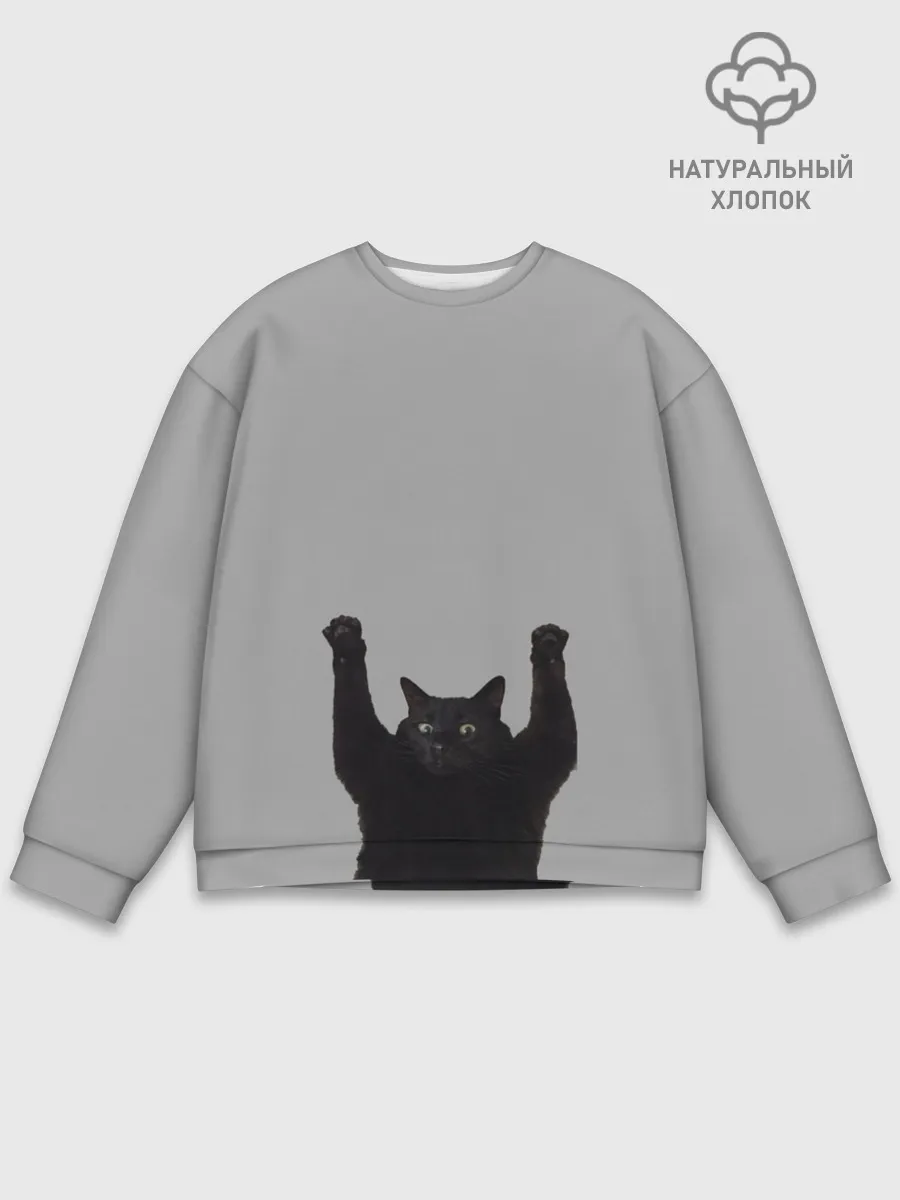 Мужской свитшот базовый / Кот сдается