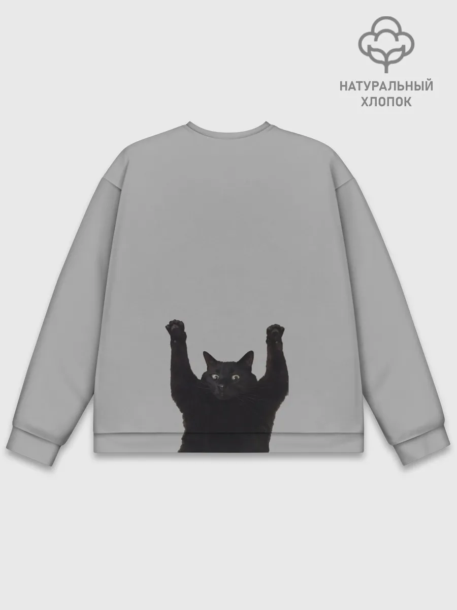 Мужской свитшот базовый / Кот сдается