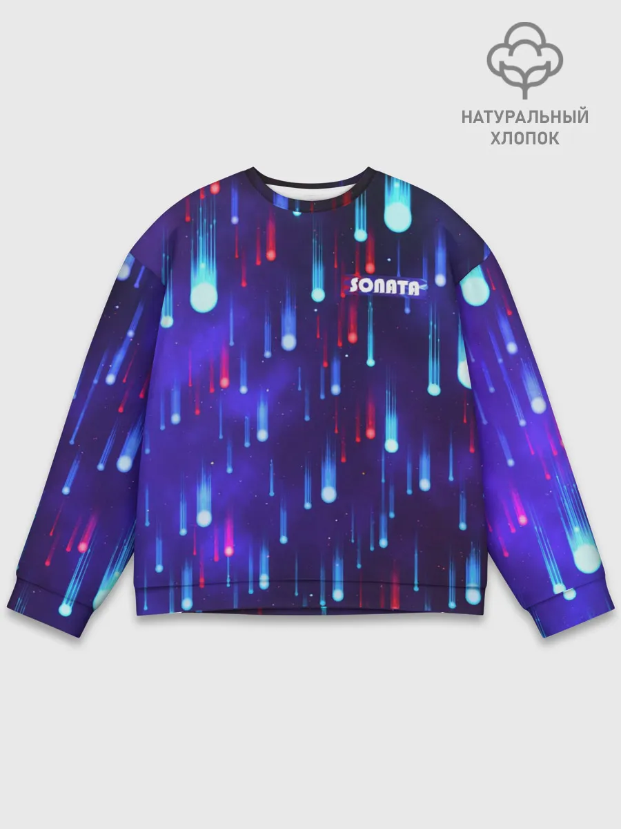 Мужской свитшот базовый / SONATA