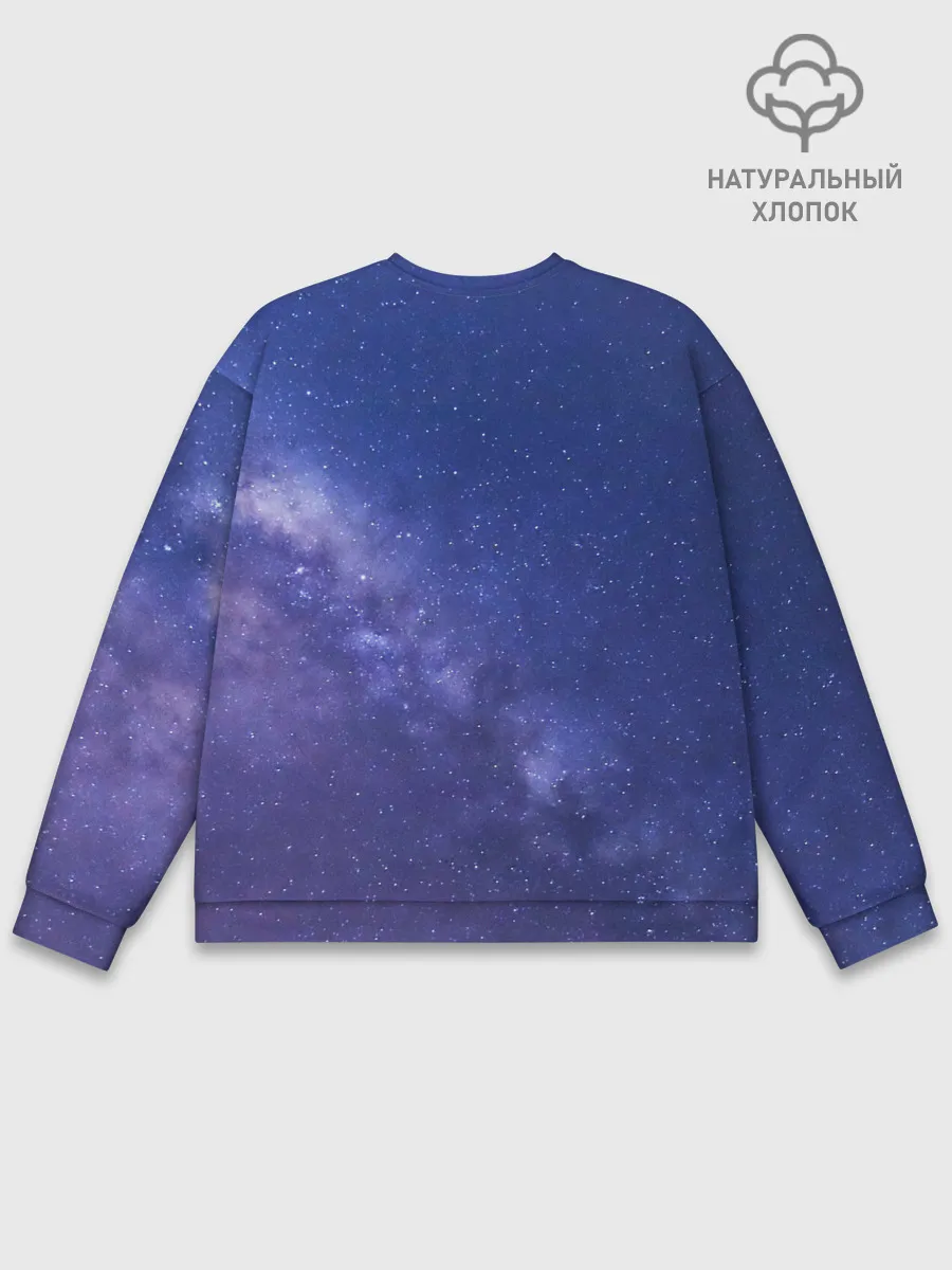 Мужской свитшот базовый / Voyager