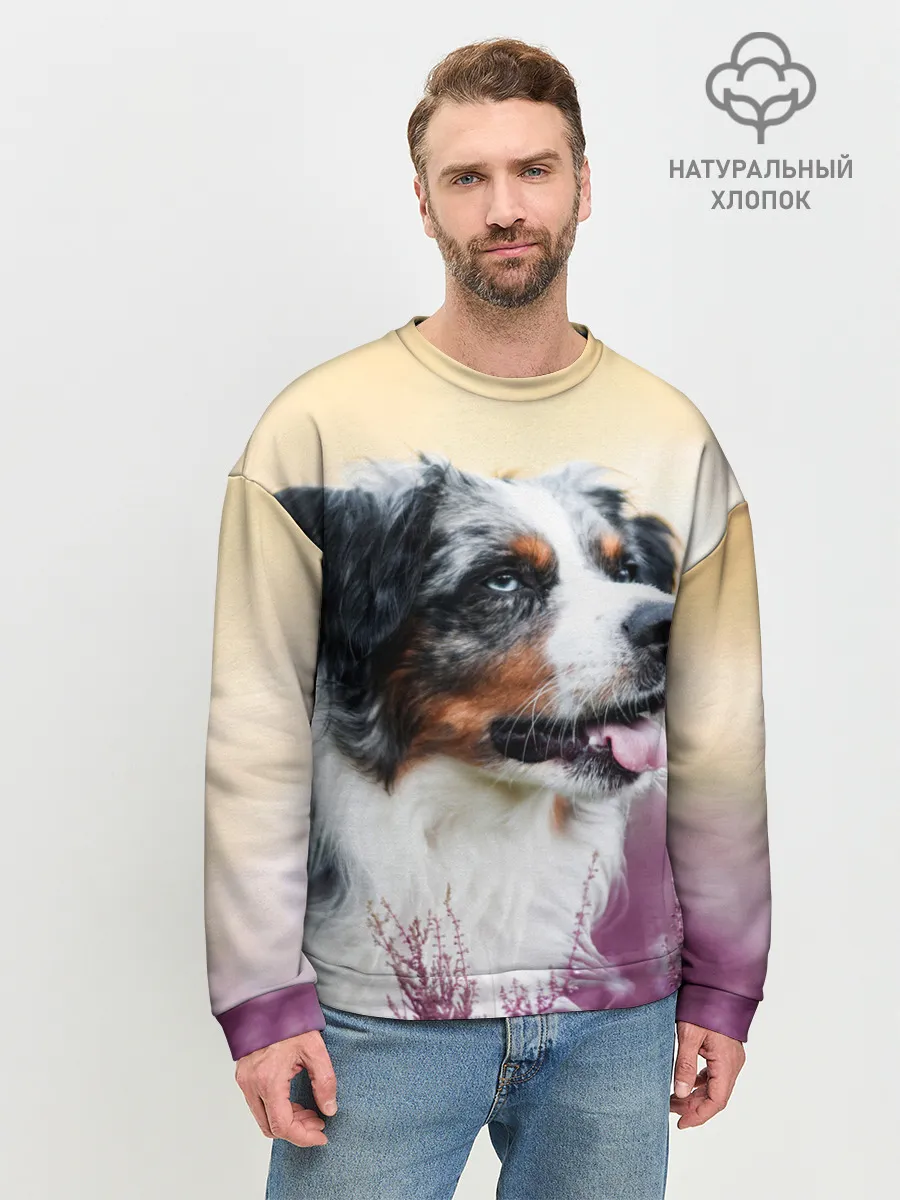 Мужской свитшот базовый / Австралийская Овчарка