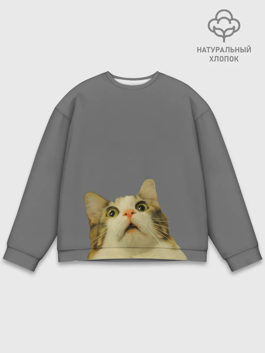 Мужской свитшот базовый / Коте смотрит вверх