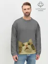Мужской свитшот базовый / Коте смотрит вверх