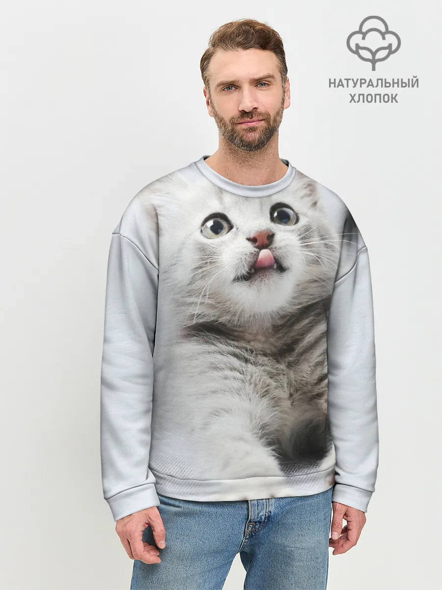 Мужской свитшот базовый / серый котенок