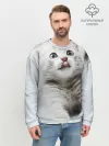 Мужской свитшот базовый / серый котенок
