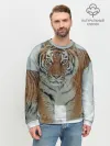 Мужской свитшот базовый / Тигр