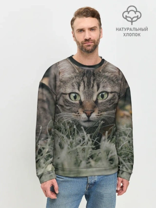 Мужской свитшот базовый / Кошка