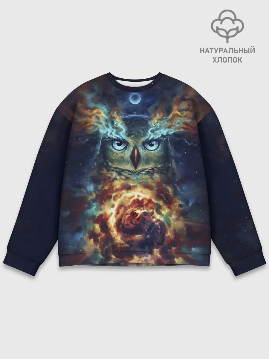 Мужской свитшот базовый / Сова Космос
