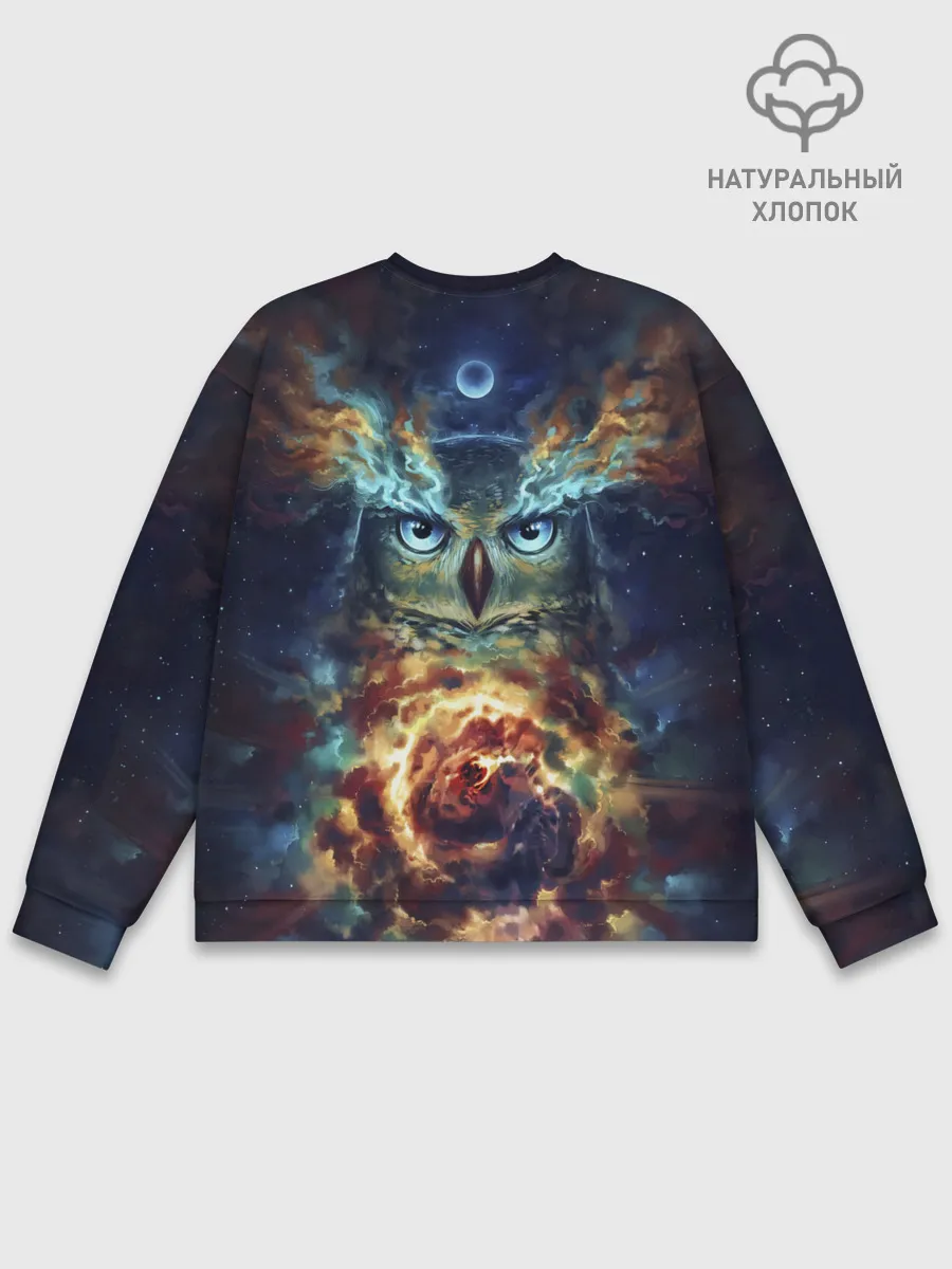 Мужской свитшот базовый / Сова Космос