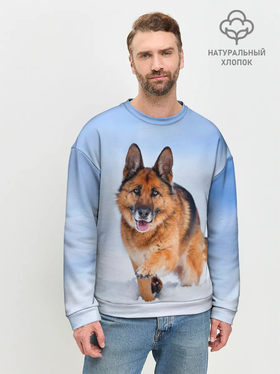 Мужской свитшот базовый / Овчарка и снег