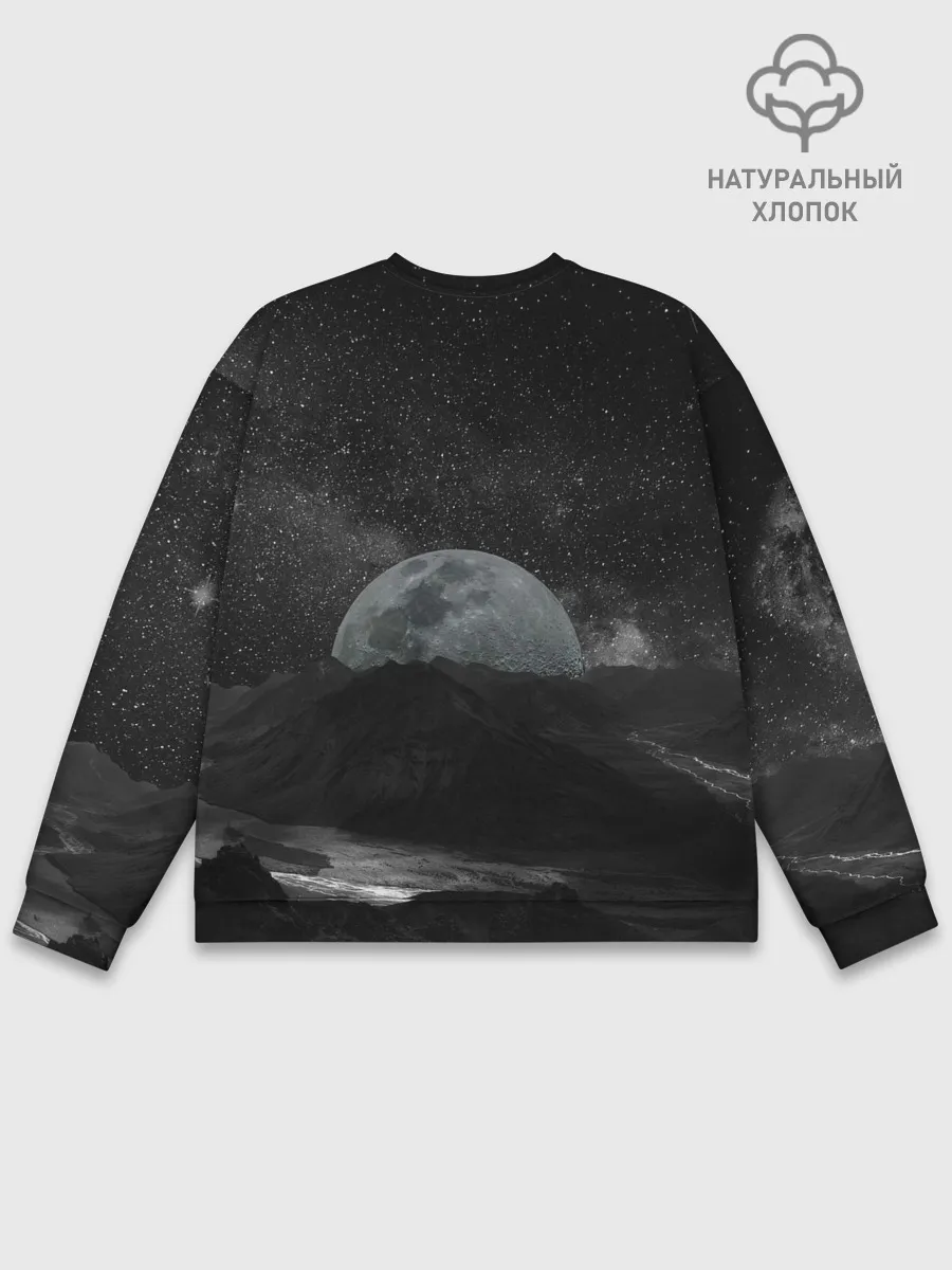 Мужской свитшот базовый / Луна