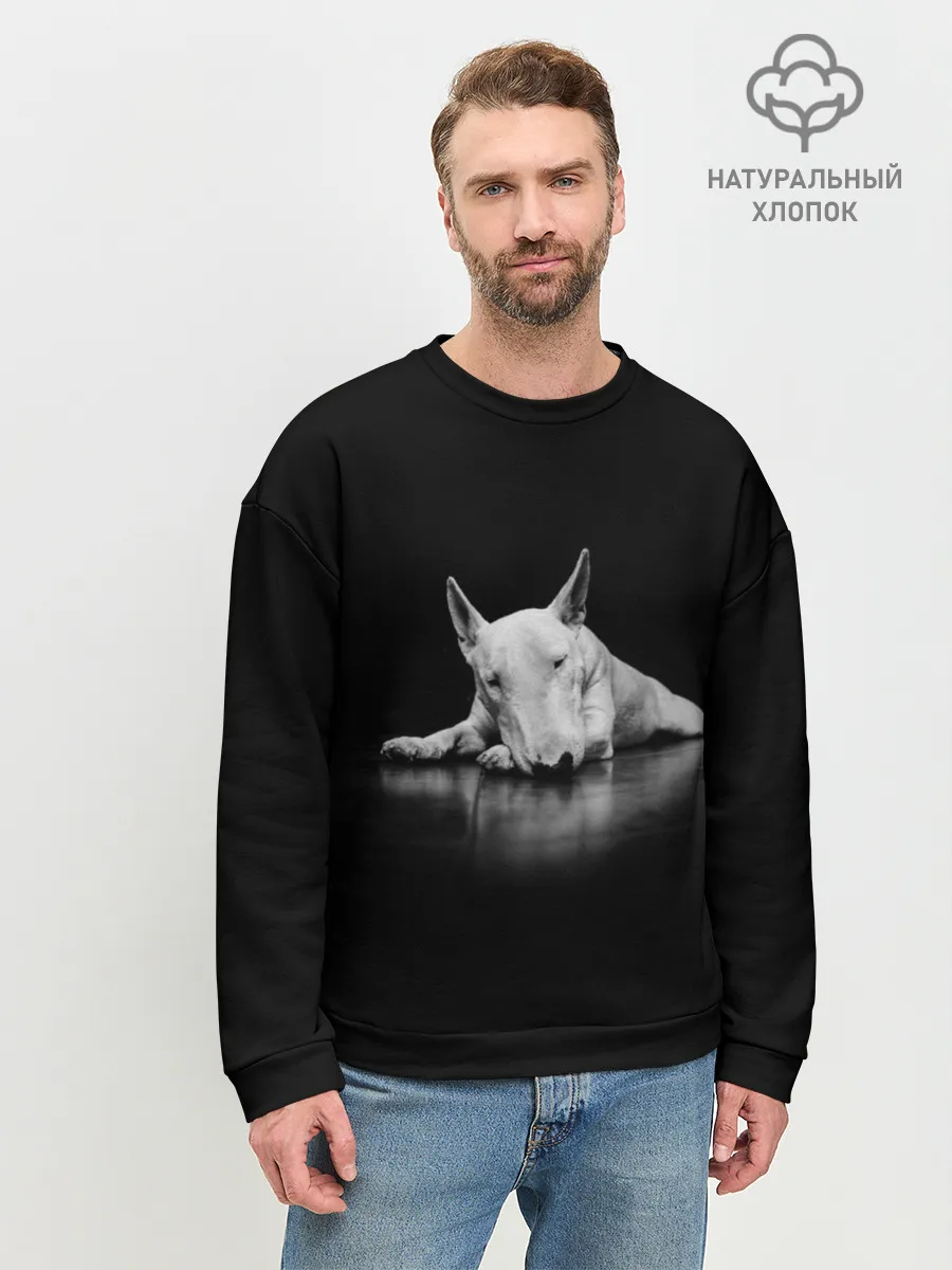 Мужской свитшот базовый / Puppy